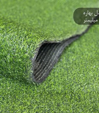 WhatsApp-Image-2025-12-08-at-13.26.05
