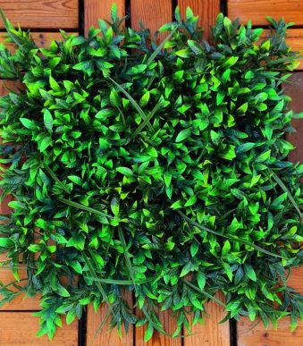 لیندا فلفلی2